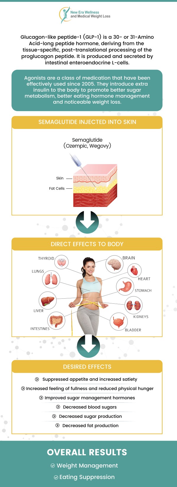 At New Era Wellness and Medical Weight Loss, Dr. Frank Lee, MD, and our team provide ongoing guidance and care throughout your Semaglutide GLP-1 weight loss journey. After your first injection, you may notice early effects such as reduced appetite, a feeling of fullness sooner, or mild nausea as your body adapts to the medication. Our dedicated team closely monitors your progress, offering regular check-ins, nutritional advice, and lifestyle recommendations to ensure safe, steady, and sustainable weight loss while supporting your overall well-being. Contact us today for more information or schedule an appointment online. We are conveniently located at 1420 Celebration Blvd. Suite A 200, Celebration, FL 34747. At New Era Wellness and Medical Weight Loss, Dr. Frank Lee, MD, and our team provide ongoing guidance and care throughout your Semaglutide GLP-1 weight loss journey. After your first injection, you may notice early effects such as reduced appetite, a feeling of fullness sooner, or mild nausea as your body adapts to the medication. Our dedicated team closely monitors your progress, offering regular check-ins, nutritional advice, and lifestyle recommendations to ensure safe, steady, and sustainable weight loss while supporting your overall well-being. Contact us today for more information or schedule an appointment online. We are conveniently located at 1420 Celebration Blvd. Suite A 200, Celebration, FL 34747.